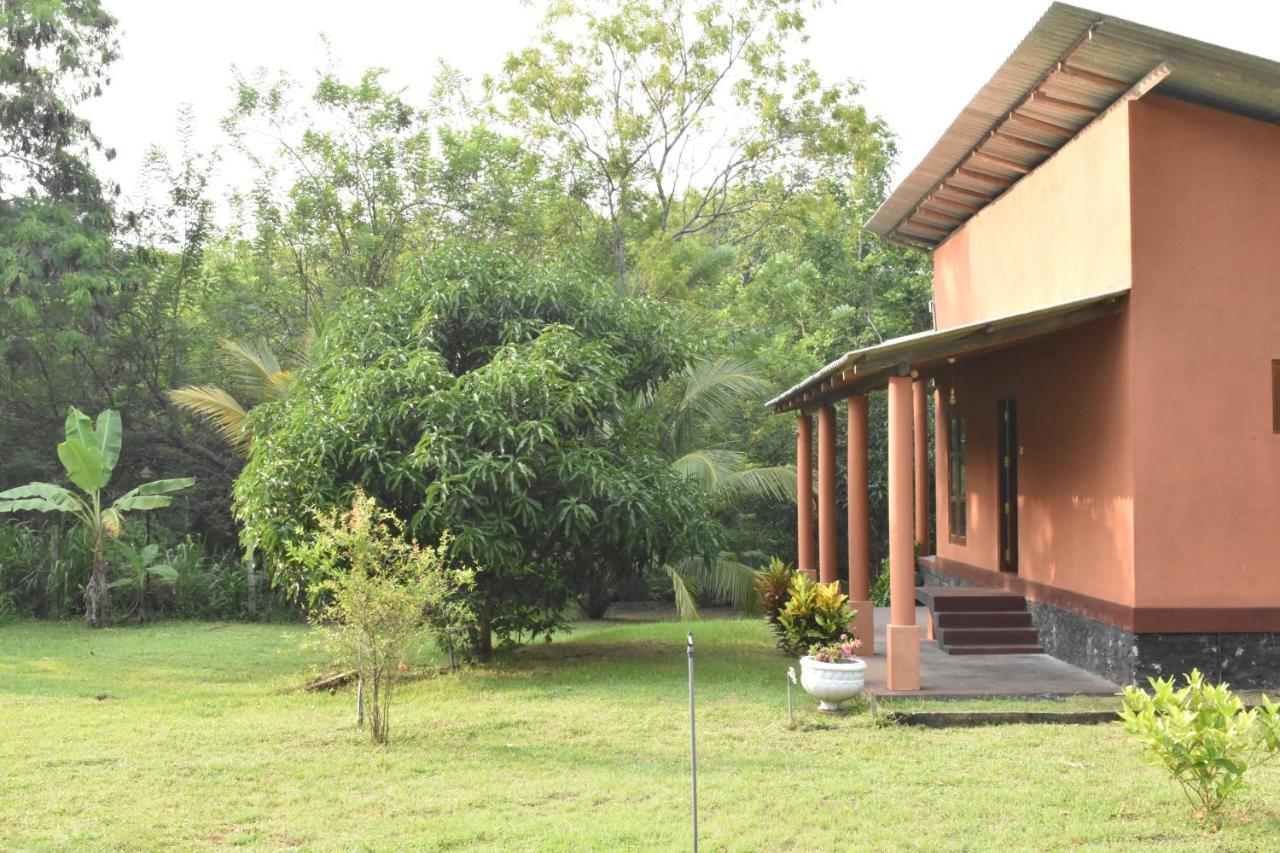 Nil Bawana Nature Resort Udawalawe Exterior foto